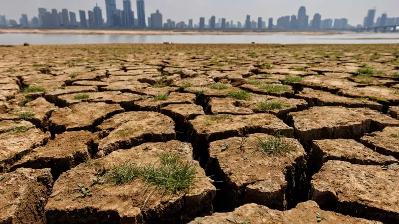 تآكل الأراضي الرطبة.. فاتورة اقتصادية بـ39 تريليون دولار بحلول 2050