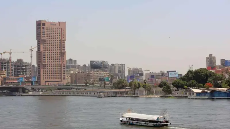 الشركات الناشئة في مصر تستقطب 228 مليون دولار تمويلات خلال 5 أشهر