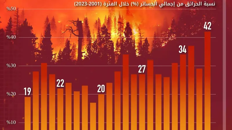 تزايد مخيف في حرائق الغابات.. بيانات تُظهر ارتفاع الخسائر عالمياً