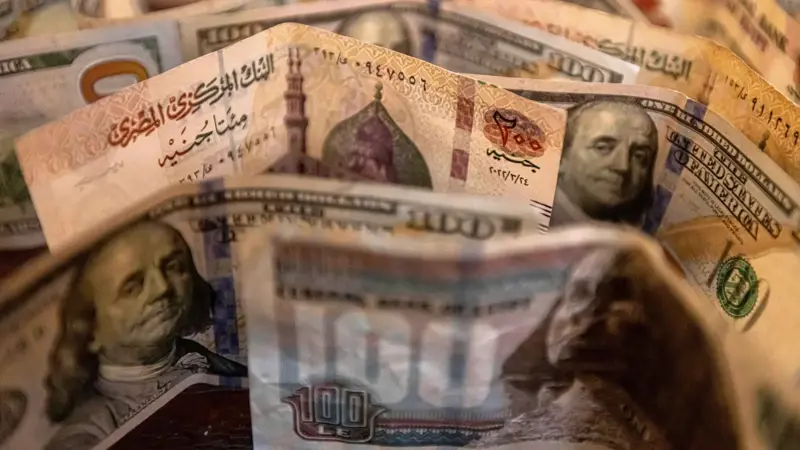 أقل من 49 جنيهاً.. أدنى سعر للدولار مقابل العملة المصرية في 8 أشهر