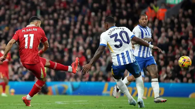 موعد مباراة برايتون وليفربول في الدوري الإنجليزي والقنوات الناقلة
