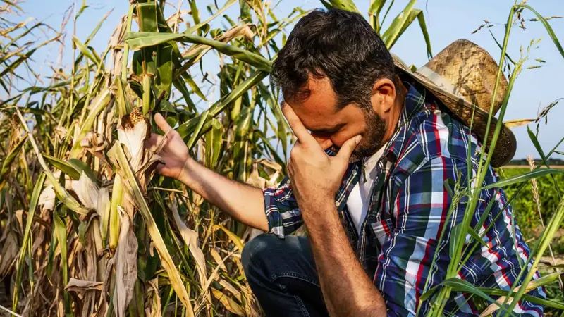 علاقة غريبة بين التغيرات المناخية والأفكار الانتحارية
