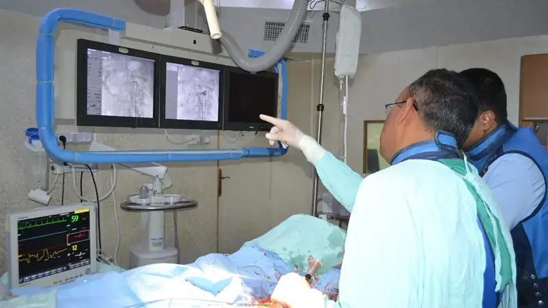 مستوحاة من الدبابير.. باحثون يطورون قسطرة مرنة تصل إلى أعماق الدماغ