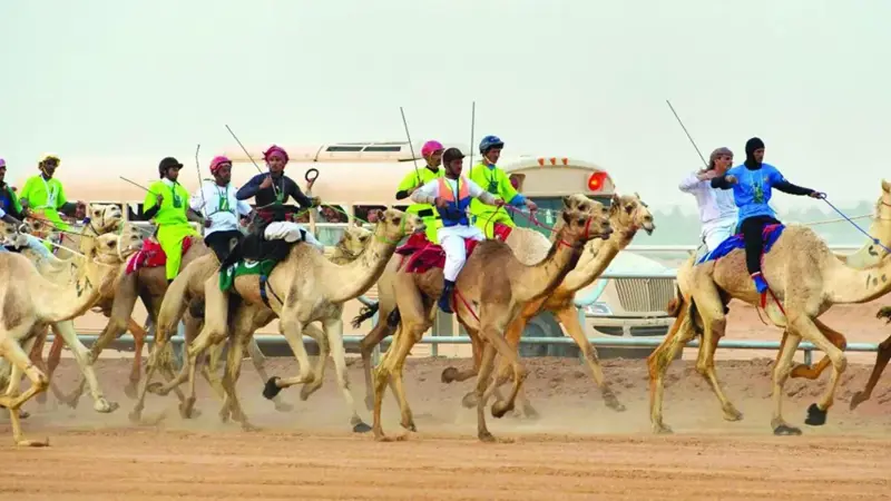 مع انطلاق مهرجان الجنادرية.. السعودية تستلهم تراث الإبل والخيول لترسيخ الهوية الوطنية