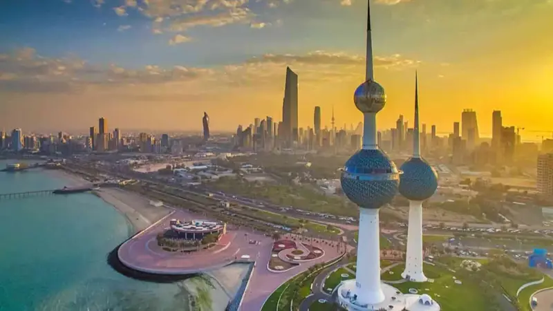 القط الإيطالي التائه "فابيو" يشغل الكويتيين بسبب المكافأة الضخمة