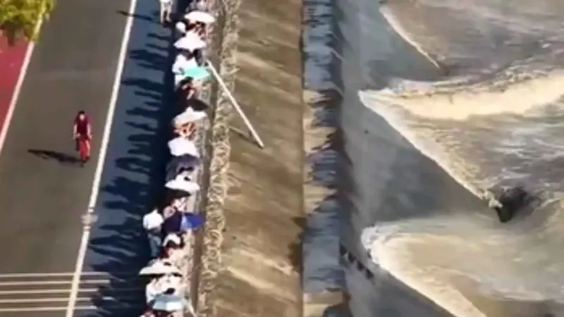 "ذيل التنين الإلهي".. ظاهرة بحرية فريدة في الصين (فيديو)