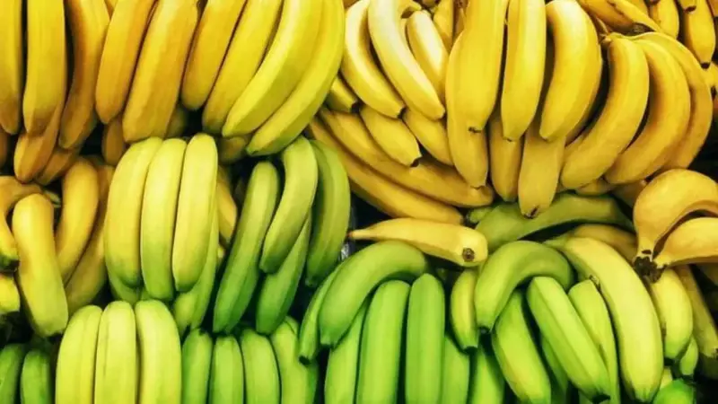الموز الأخضر أم الناضج.. أيهما أكثر فائدة؟