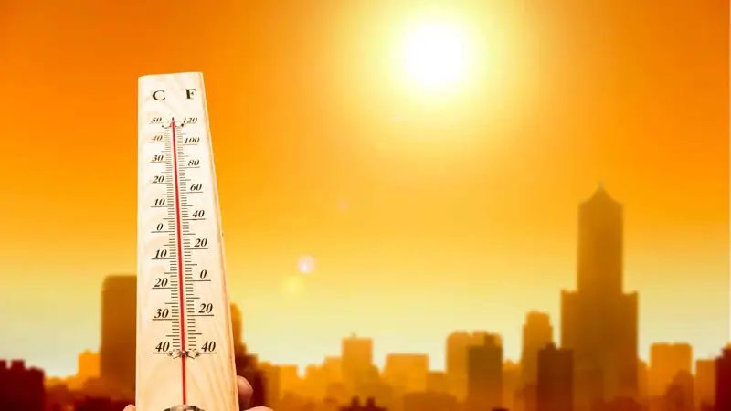 براً وبحراً.. موجات حر استثنائية تجتاح العالم في مايو