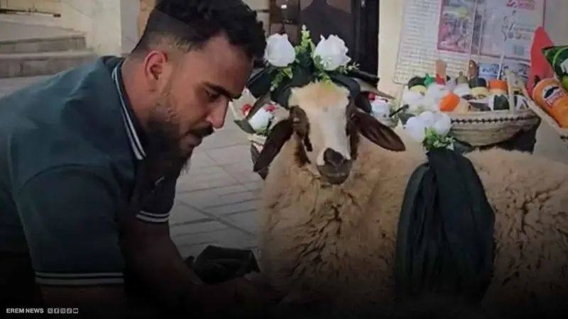 خروف بمكياج وطلاء أظافر يثير جدلاً في ليبيا.. ما القصة؟ (فيديو إرم)