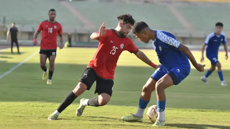 سيارات الإسعاف تدخلت.. اشتباكات بالأيدي في مباراة الصعود للدوري المصري (فيديو)