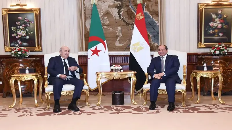 قمة السيسي وتبون.. توافق بشأن قضية سد النهضة وإجراء الانتخابات الليبية