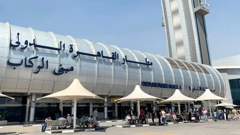 مصر تحبط محاولة تهريب عملات أجنبية داخل "دجاج مجمّد"