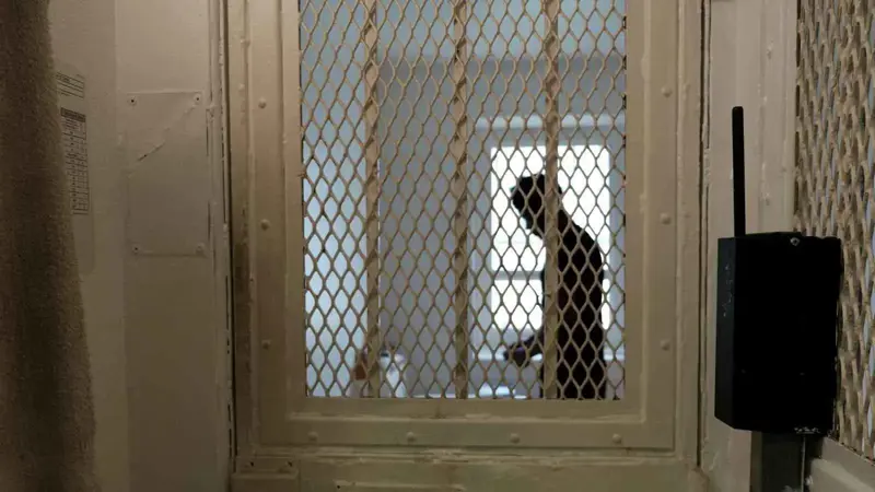 وفاة ناشط يمني تحت التعذيب في سجن حوثي بصنعاء