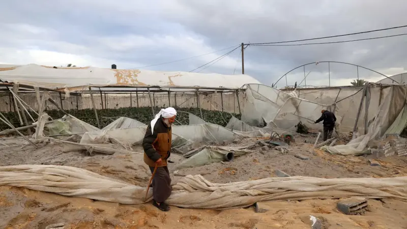 الفاو: 95% من أراضي غزة غير صالحة للزراعة بسبب الحرب