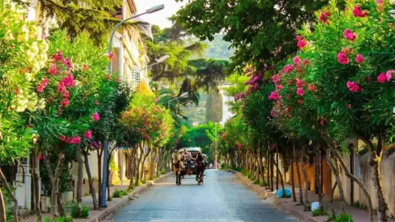 جزيرة سياحية تركية غزتها السيارات تحن لأيام الخيول (صور)