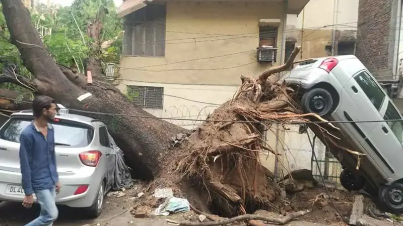 عاصفة قوية في نيودلهي.. مقتل 4 من عائلة واحدة (فيديو)