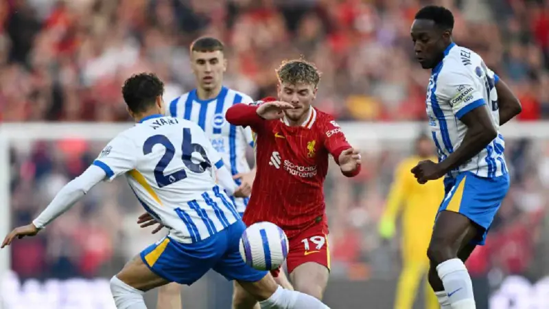 ملخص وأهداف مباراة برايتون ضد ليفربول في الدوري الإنجليزي