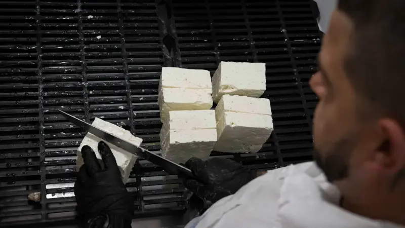 جبنة "من خلف القضبان" تُبهر الذواقة في بلغاريا